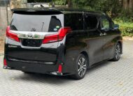 Toyota Alphard Premium Top Spec 2019 Petrol 2.5 Auto